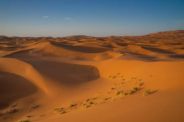 Prachtig Landschap Van Namib Woestijn Sahara Marokko — Stockfoto