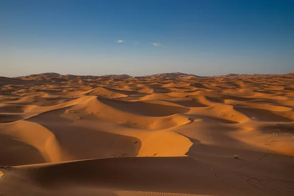 Prachtig Uitzicht Duinen Natuur Achtergrond — Stockfoto