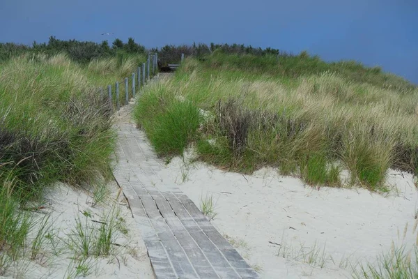 Vacker Strand Med Stor Havskust — Stockfoto