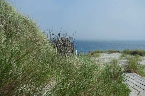 Beautiful View Sea Coast — Stock Photo, Image