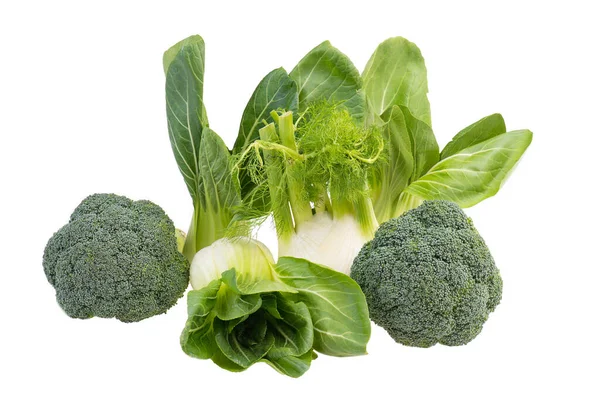 西兰花和茴香 背景为白色 蔬菜为绿色 — 图库照片