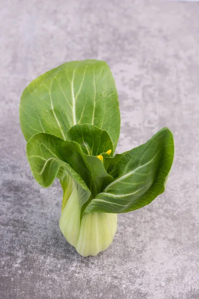 Pak Choi Vegetais Fundo Pedra Texturizado Cinza Espaço Livre Para — Fotografia de Stock