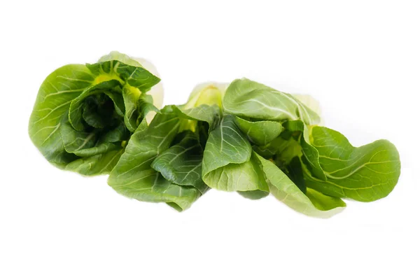 Pak Choi Isolerad Vit Bakgrund Hälsosam Mat Asien Sallad — Stockfoto