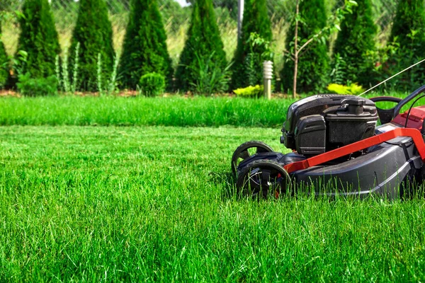 Grasmaaier Maait Hoog Groen Gras Achtertuin — Stockfoto