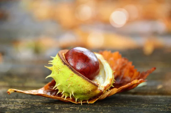 Chestnuts Wooden Background — Stock Photo, Image