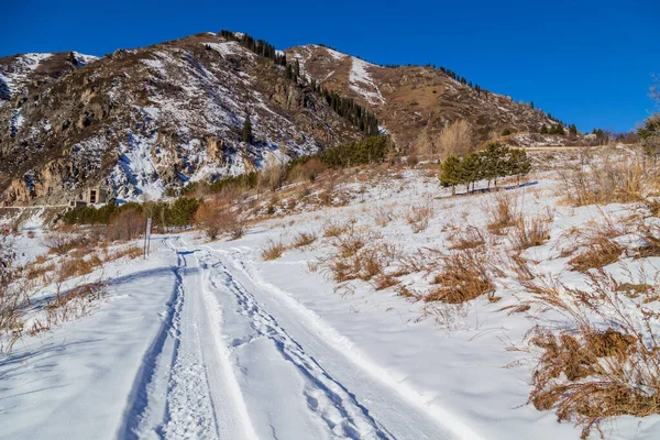 Hermoso Paisaje Las Montañas Invierno — Foto de Stock