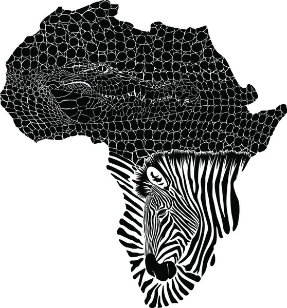 Bir Timsah Zebra Derisi Olarak Soyut Afrika Renginin Vektör Çizimi — Stok Vektör