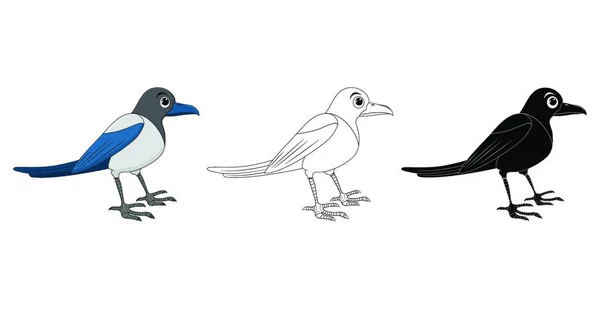 カササギの鳥の漫画のイラストセット カラスの動物鳥類学のデザインを立っている 白い背景に独立したベクトルクリップアート コレクションにはシルエット カラー図面が含まれています — ストックベクタ