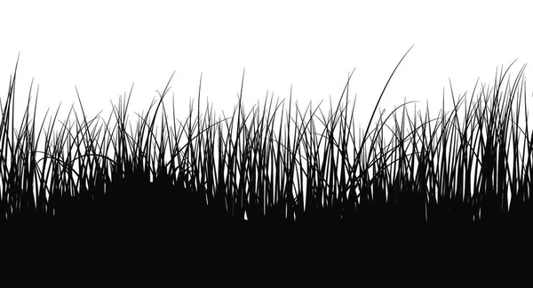 Gräs Isolerad Vit Bakgrund — Stock vektor