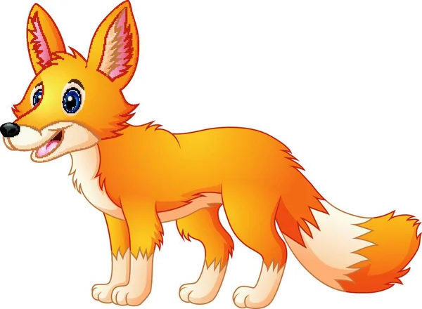 Vector Illustration Cute Fox Cartoon — Stock Vector