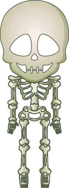 Рендеринг Черепа Скелетом — стоковый вектор