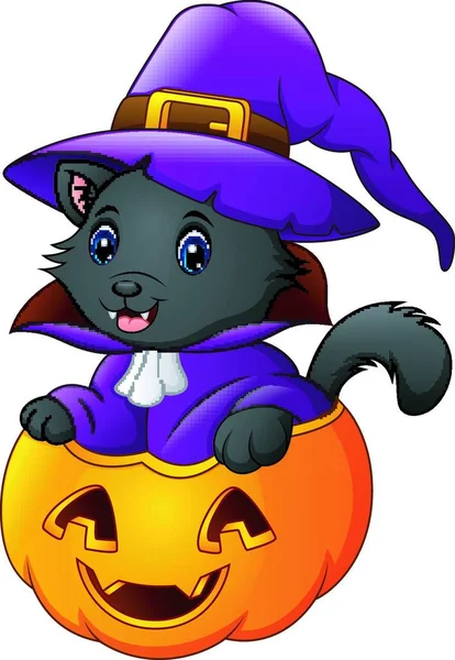 Vektorové Ilustrace Černá Kočka Oblečený Jako Čarodějnice Halloween Dýně — Stockový vektor