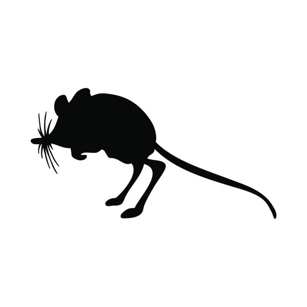 Vektorillustration Einer Schwarz Weißen Ratte — Stockvektor