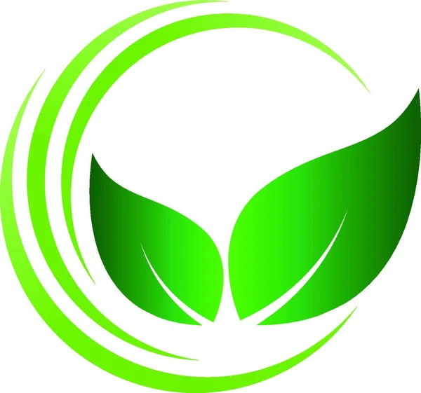 Foglie Piante Cerchi Giardiniere Naturopata Logo Della Natura Sfondo — Vettoriale Stock