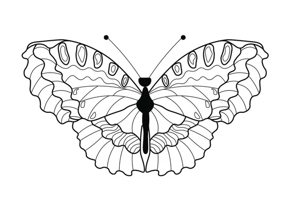 Бабочка Изолированы Белом Фоне — стоковый вектор