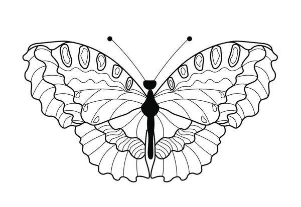 Schmetterling Isoliert Auf Weißem Hintergrund — Stockvektor