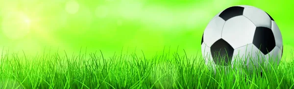 Soccer Ball Green Grass Background — Stock Vector