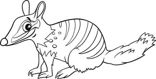 Desenhos Animados Preto Branco Ilustração Engraçado Numbat Comic Animal Personagem —  Vetores de Stock