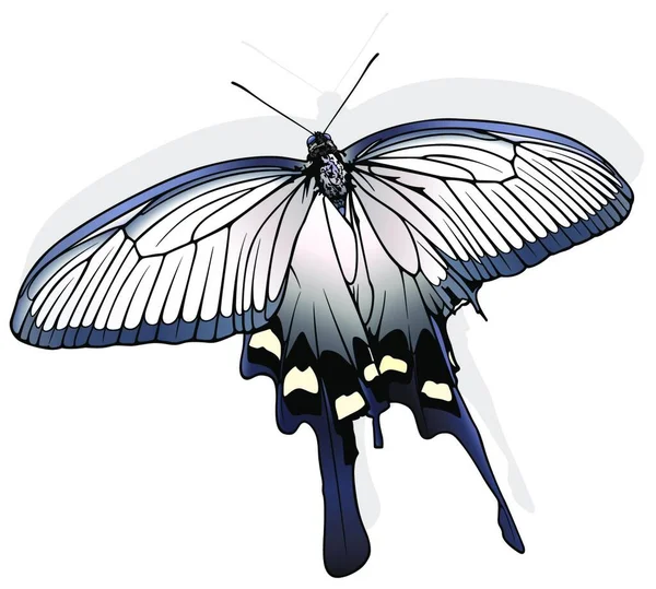 Molino Viento Chino Hermosa Mariposa Aislada Sobre Fondo Blanco Ilustración — Vector de stock