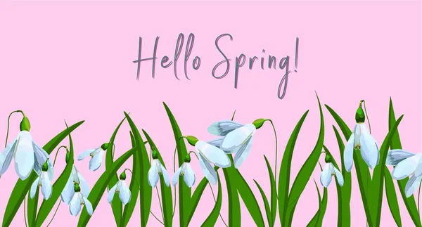 Spring Flowers Beautiful Crocus Vector Illustration — Stock Vector