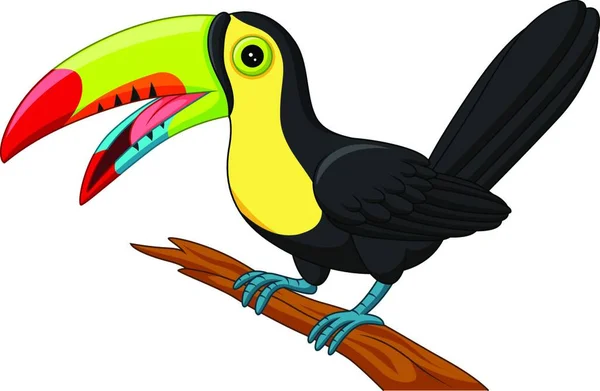 Cartoon Toucan Πουλί Απομονώνονται Λευκό Φόντο — Διανυσματικό Αρχείο