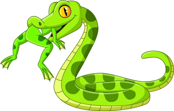 Dibujos Animados Serpiente Verde Comiendo Una Rana — Vector de stock