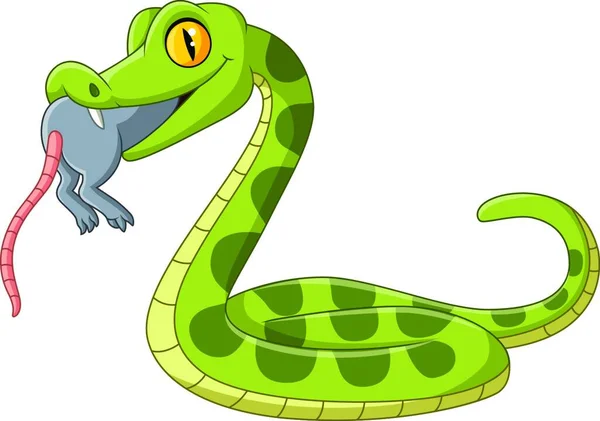 Dibujos Animados Serpiente Verde Comiendo Ratón — Vector de stock