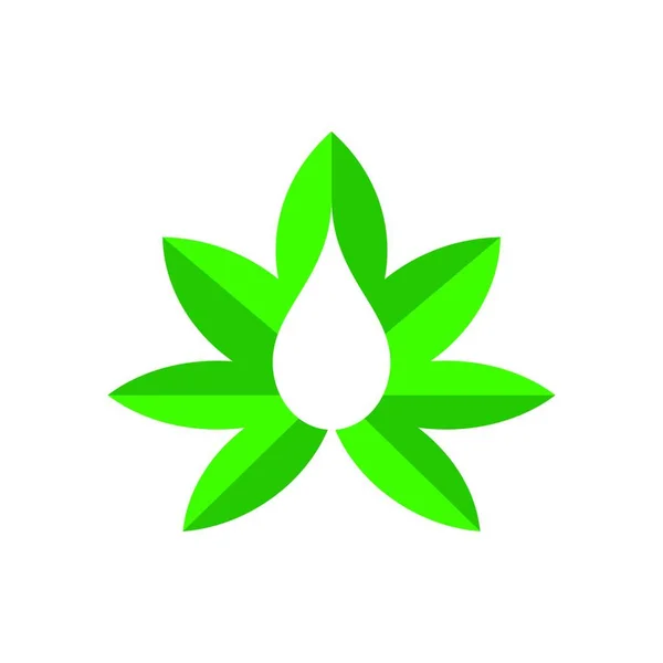 Marihuana Liść Konopie Indyjskie Olej Konopny Marihuana Lub Logo Liści — Wektor stockowy