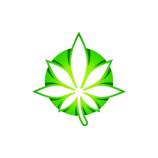 Marijuanablad Medicinsk Cannabis Hampaolja Cannabis Eller Marijuanablad Logo — Stock vektor