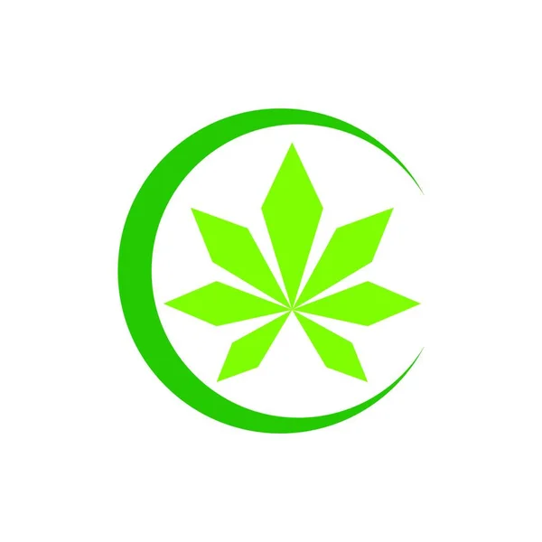 Hoja Marihuana Cannabis Medicinal Aceite Cáñamo Cannabis Logotipo Hoja Marihuana — Archivo Imágenes Vectoriales