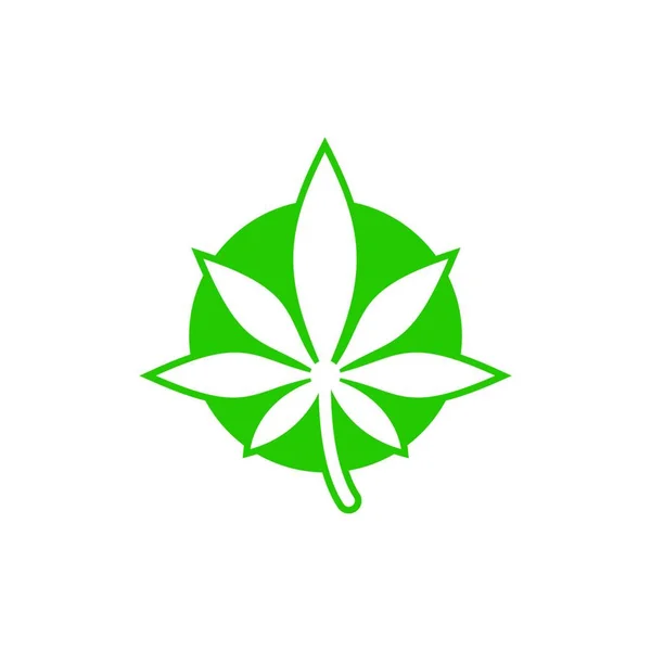 Marihuana Blatt Medizinisches Cannabis Hanföl Cannabis Oder Marihuana Blatt Logo — Stockvektor