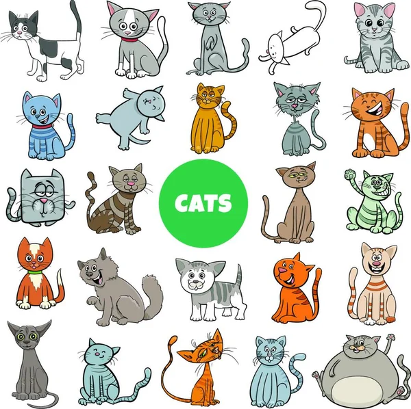Kedi Kedi Yavruları Hayvan Karakterleri Çizgi Filmi Büyük Set — Stok Vektör