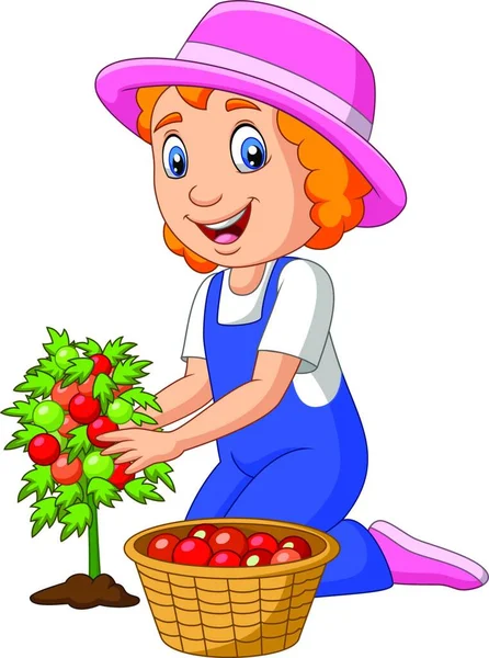 Dibujos Animados Niña Cosechando Tomates — Vector de stock