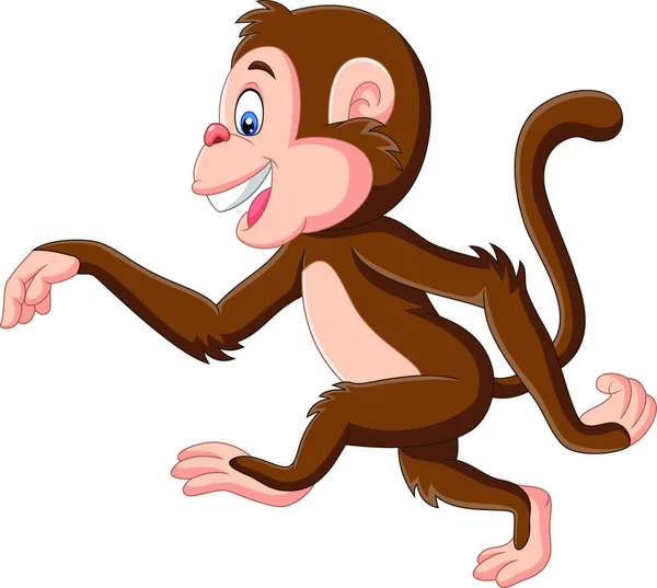 Cartoon Engraçado Macaco Andando Fundo Branco —  Vetores de Stock
