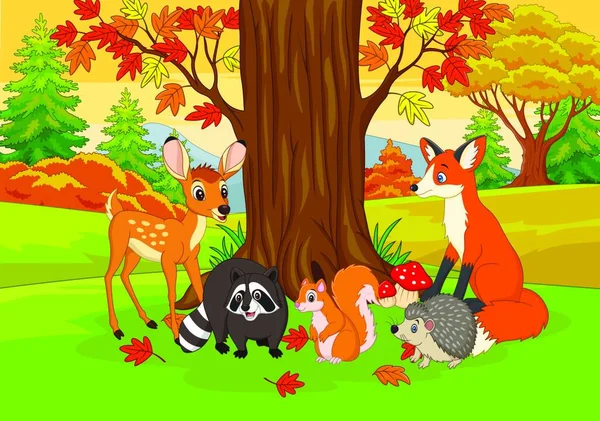 Desenhos Animados Animais Selvagens Floresta Outono — Vetor de Stock