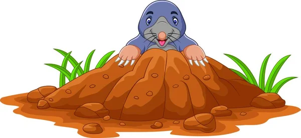Cartoon Mole Sortir Trou — Image vectorielle