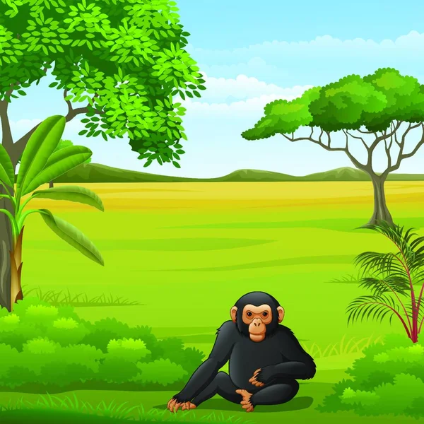 Chimpanzé Dos Desenhos Animados Savana — Vetor de Stock