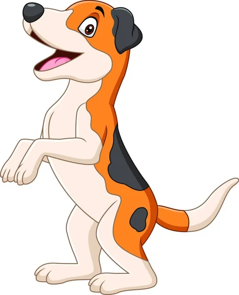 卡通滑稽的狗站在白色的背景上 — 图库矢量图片