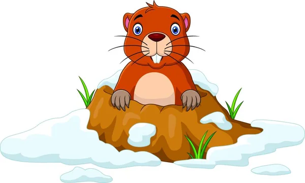 Cartoon Groundhog Looking Out Hole — Stock Vector