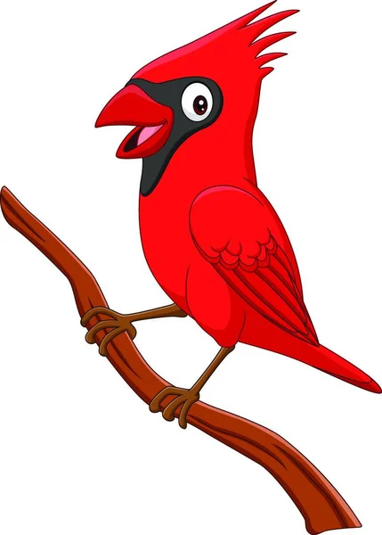 Karikatura Kardinál Pták Větvi Stromu — Stockový vektor