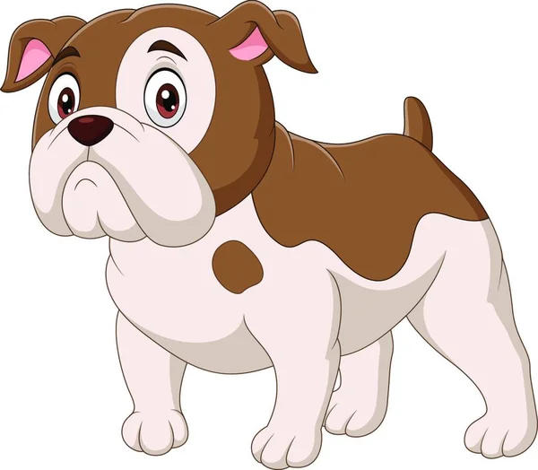 白色背景的卡通斗牛犬 — 图库矢量图片