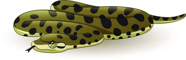 Serpiente Anaconda Dibujos Animados Sobre Fondo Blanco — Archivo Imágenes Vectoriales