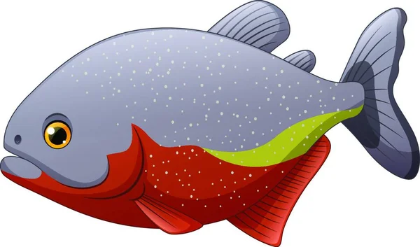 Karikatur Piranha Fisch Isoliert Auf Weißem Hintergrund — Stockvektor