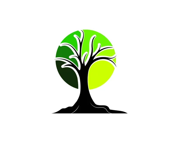 Baum Logo Vektor Symbol Illustration Design Vorlage — Stockvektor