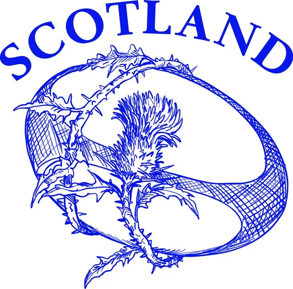 用苏格兰人的茴香花和葡萄藤在孤立的背景上用文字勾画出的橄榄球的手绘草图 — 图库矢量图片