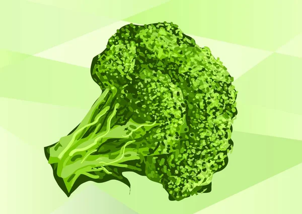 Brócoli Lechuga Hojas Verde Fondo Blanco Ilustración Vector Sobre Fondo — Archivo Imágenes Vectoriales