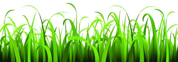 Epsベクトル背景テンプレート夏または春のデザインのための下側にシームレスなパノラマ緑の夏の草のファイル — ストックベクタ