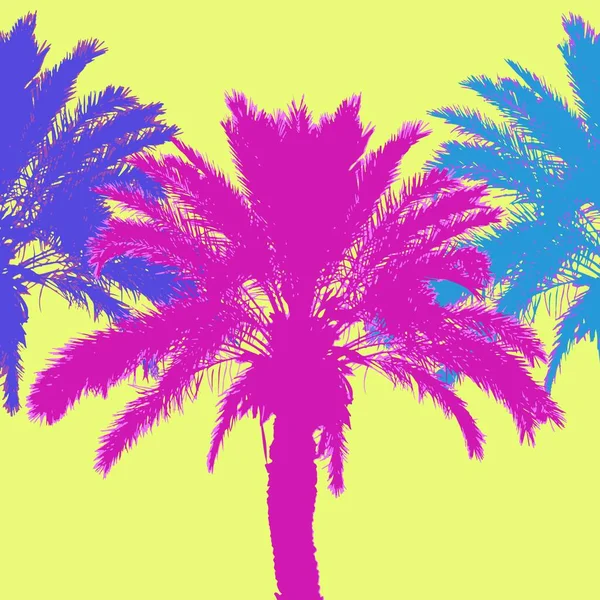 Tropikal Palmiye Ağaçları Vektör Çizim — Stok Vektör