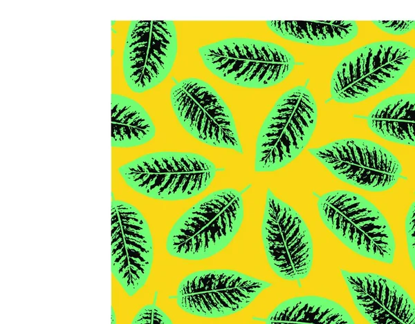 Dieffenbachia Tropisches Blatt Nahtloses Muster Vektorillustration — Stockvektor