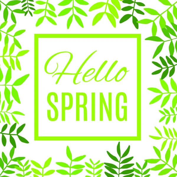 Hello Spring Greeting Card Vector Illustration — Stock Vector